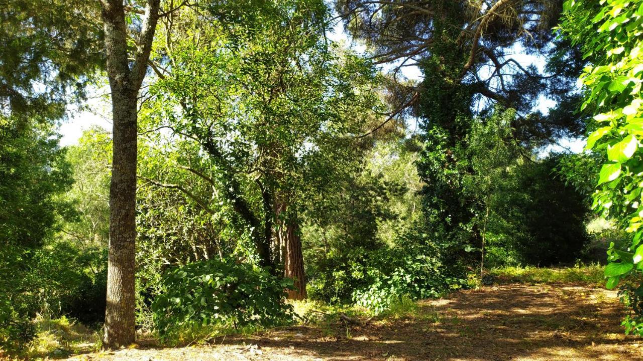 Casal Dos Zimbros Villa Corticos Екстериор снимка